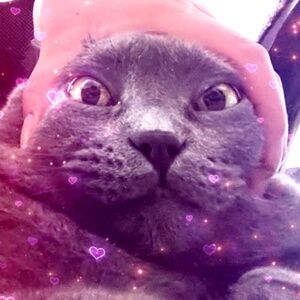 Meet your Posher, Jasmine